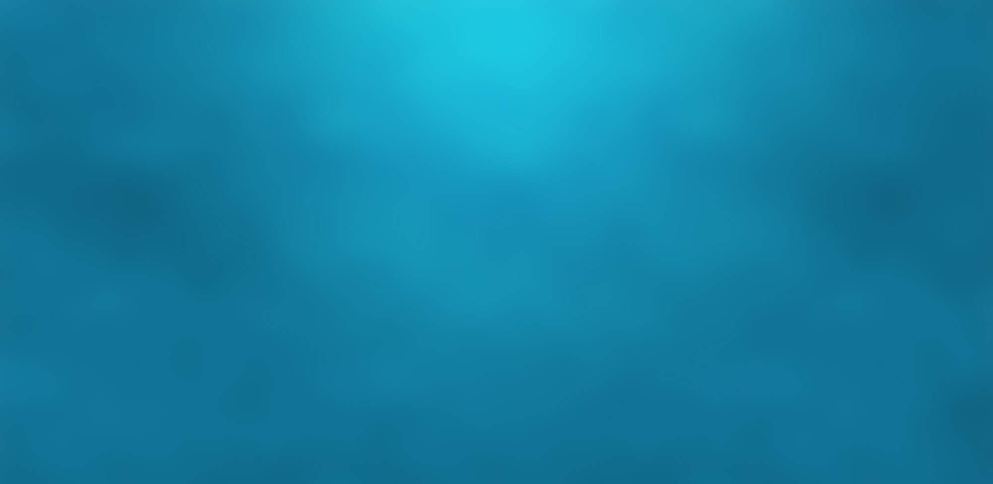 conference call dial in service